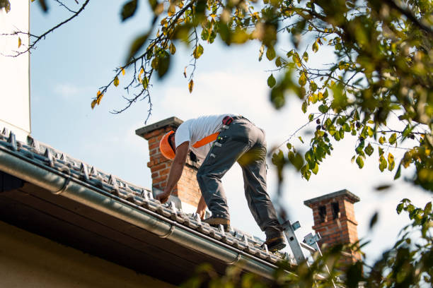 Best Gutter Installation and Roofing  in Oakwood, OH